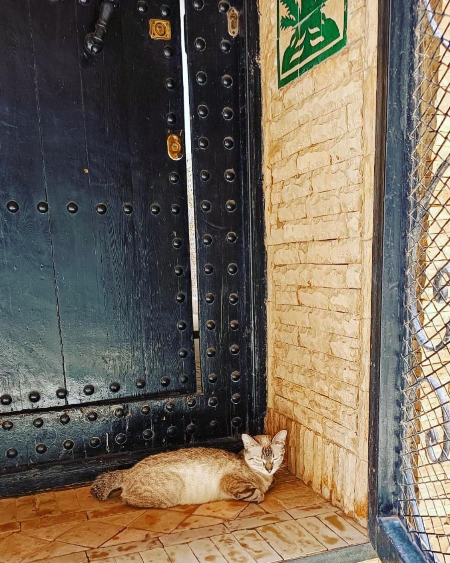Riad Hugo Μαρακές Εξωτερικό φωτογραφία